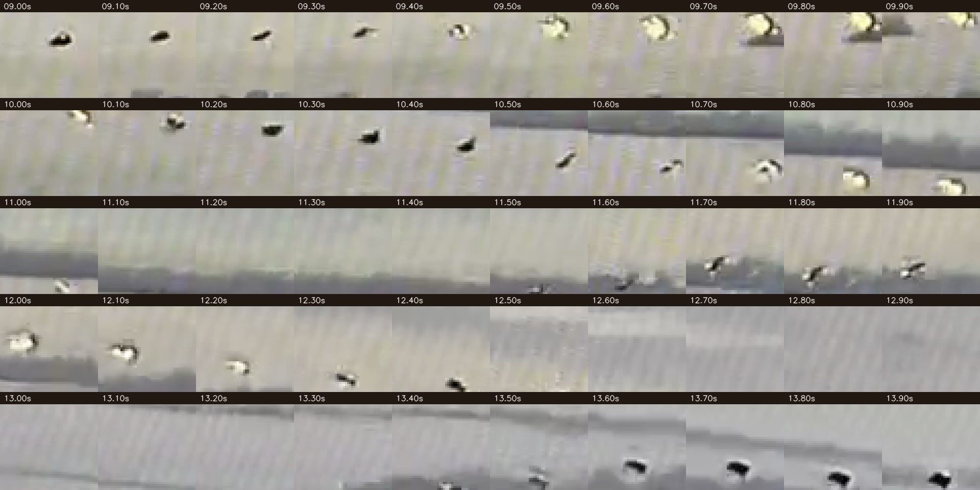 Target crop grid from 9 through 13 seconds.