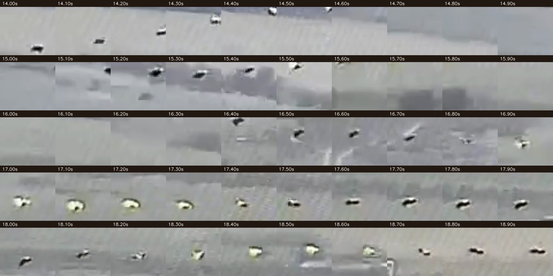 Target crop grid from 14 through 19 seconds.